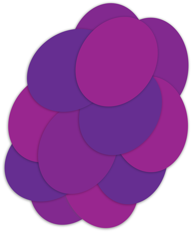 Bright Vines Grape the juicy burst grape